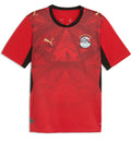 Egypt FWC 2026 Home